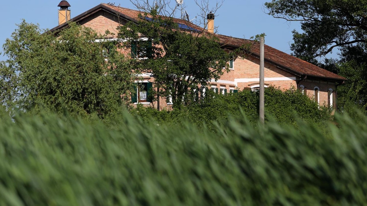 Photo of Outdoor in Musile di Piave