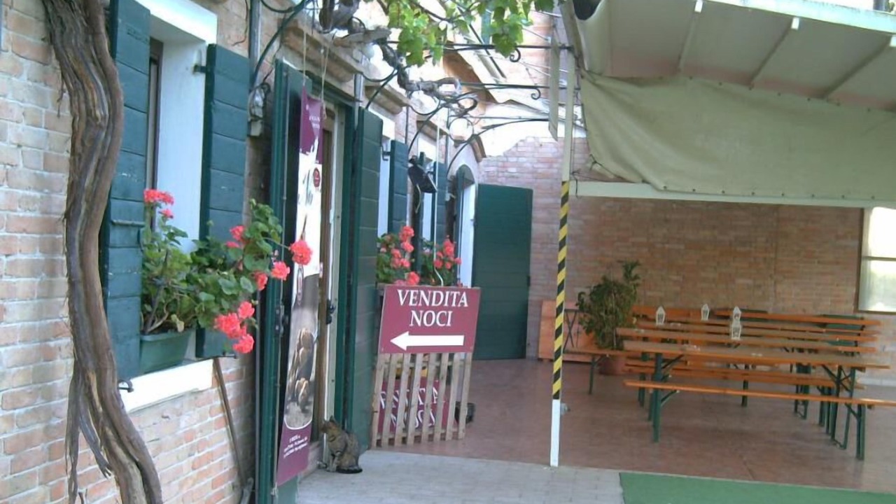 Photo of Outdoor in Musile di Piave