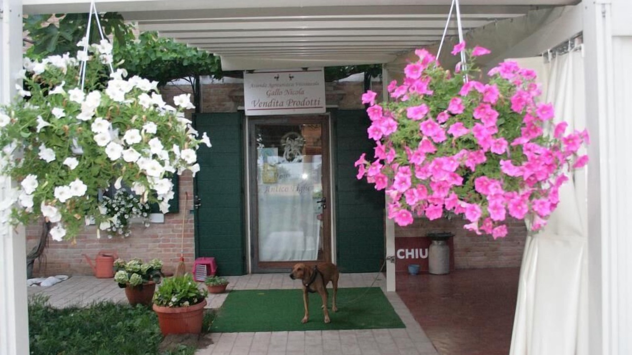 Photo of Outdoor in Musile di Piave
