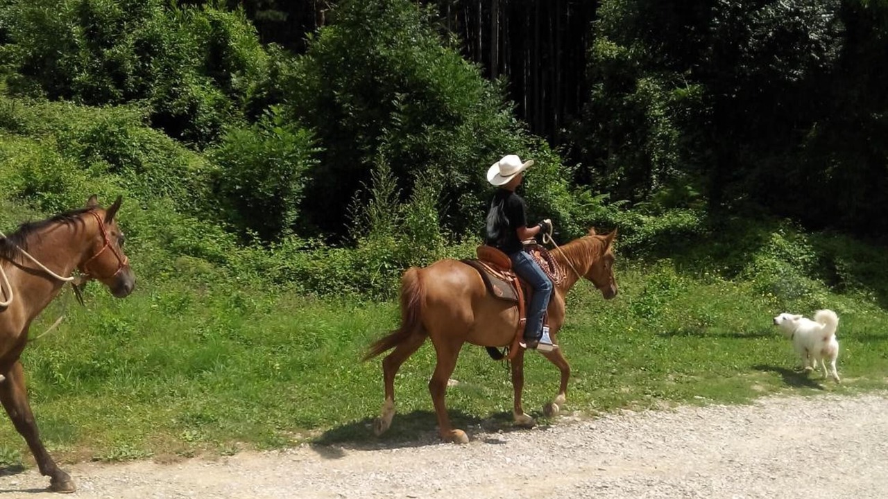 Photo of Outdoor in Pratovecchio