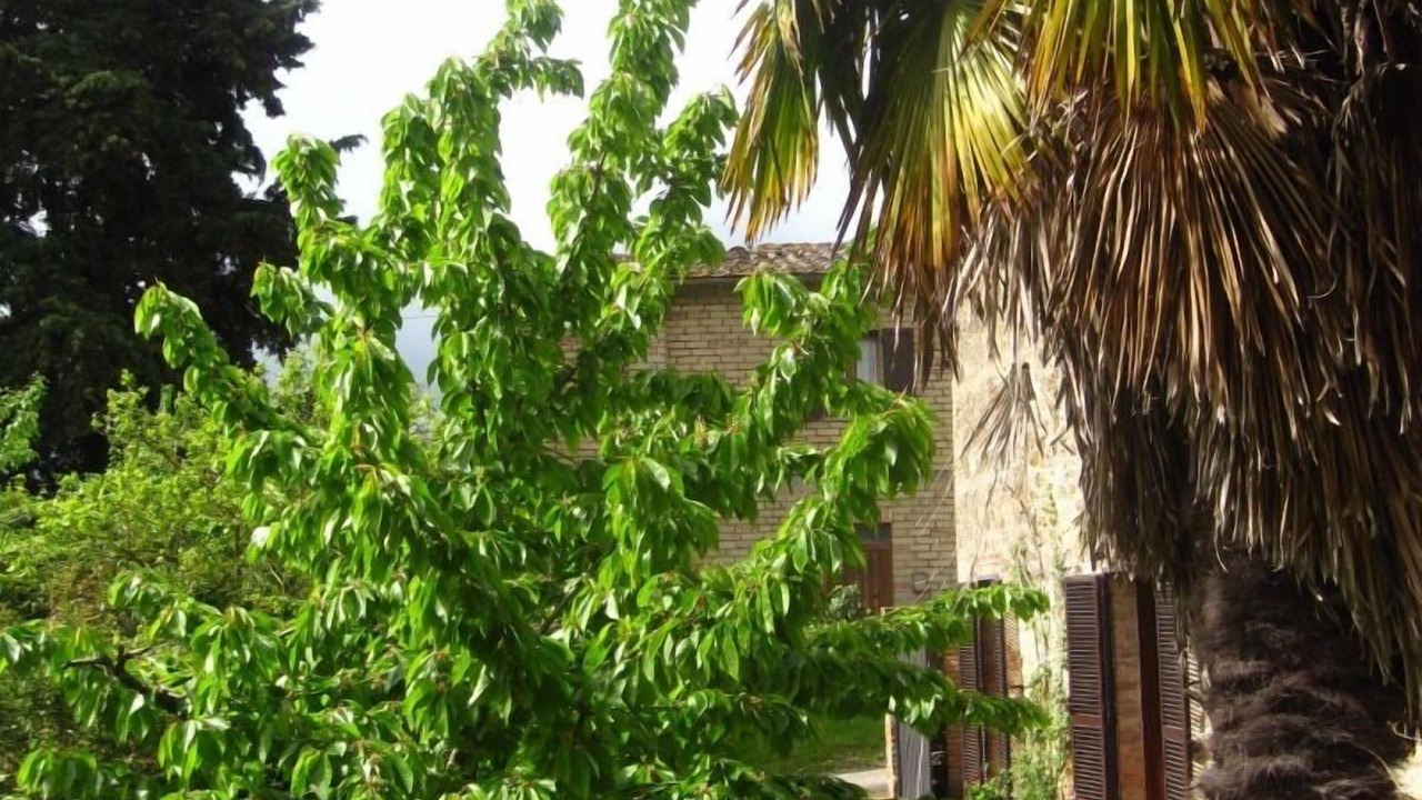 Photo of Outdoor in Radicondoli