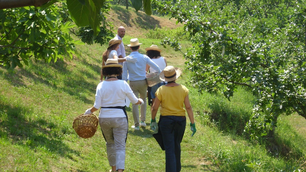 Photo of Others in Rovagnate