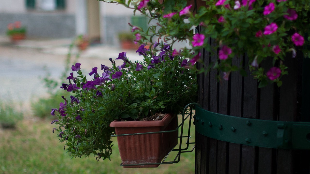 Photo of Outdoor in Gavi