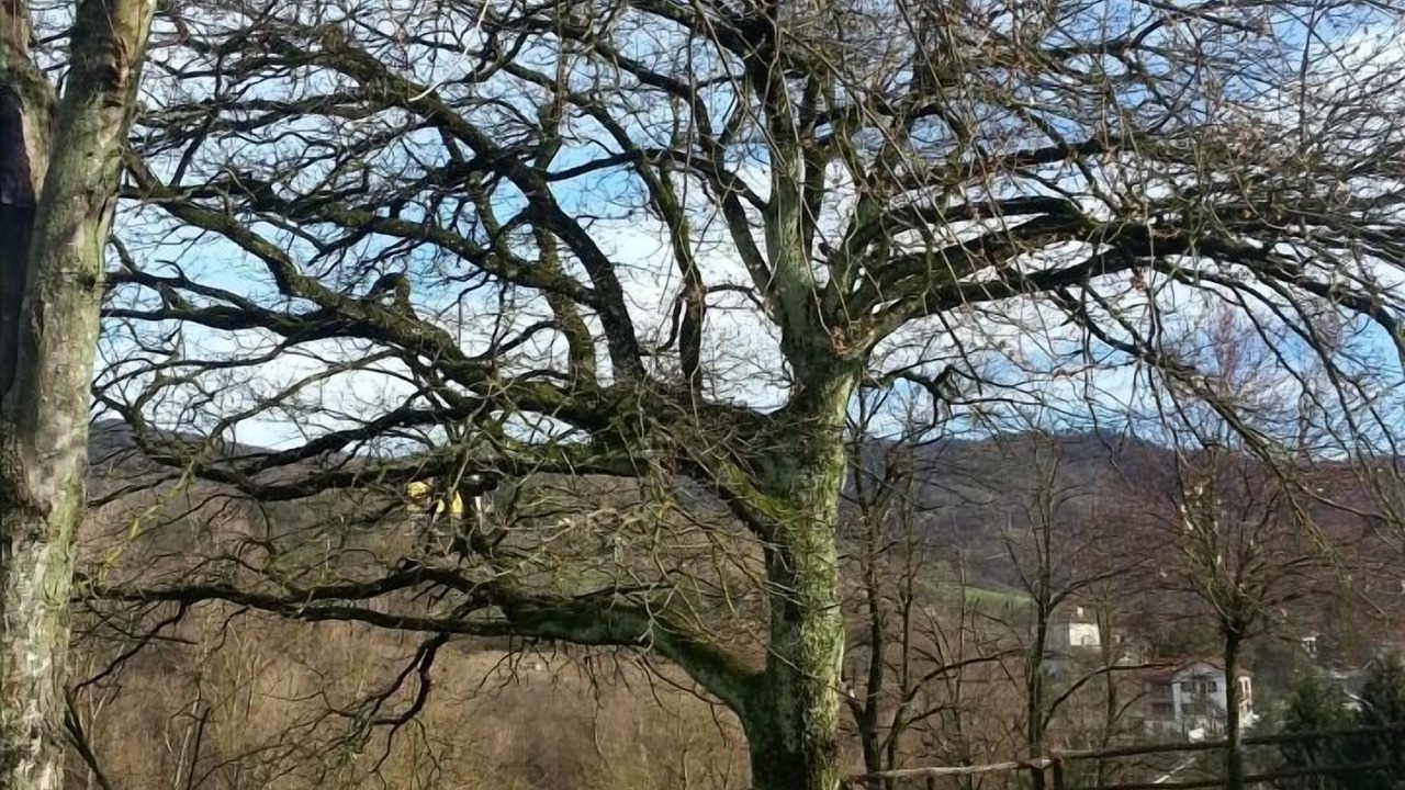 Photo of Outdoor in Gavi