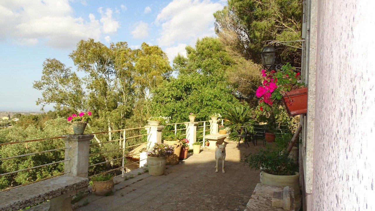 Photo of Outdoor in Canicattini Bagni