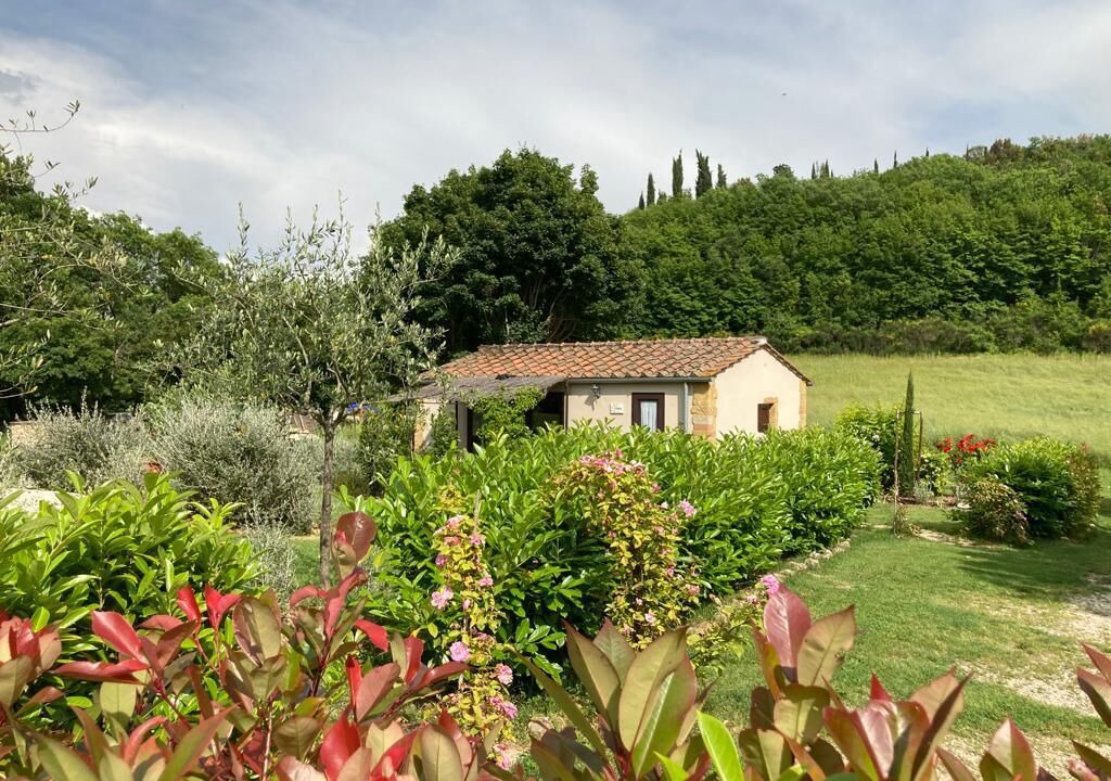 Photo of Others in Montefollonico