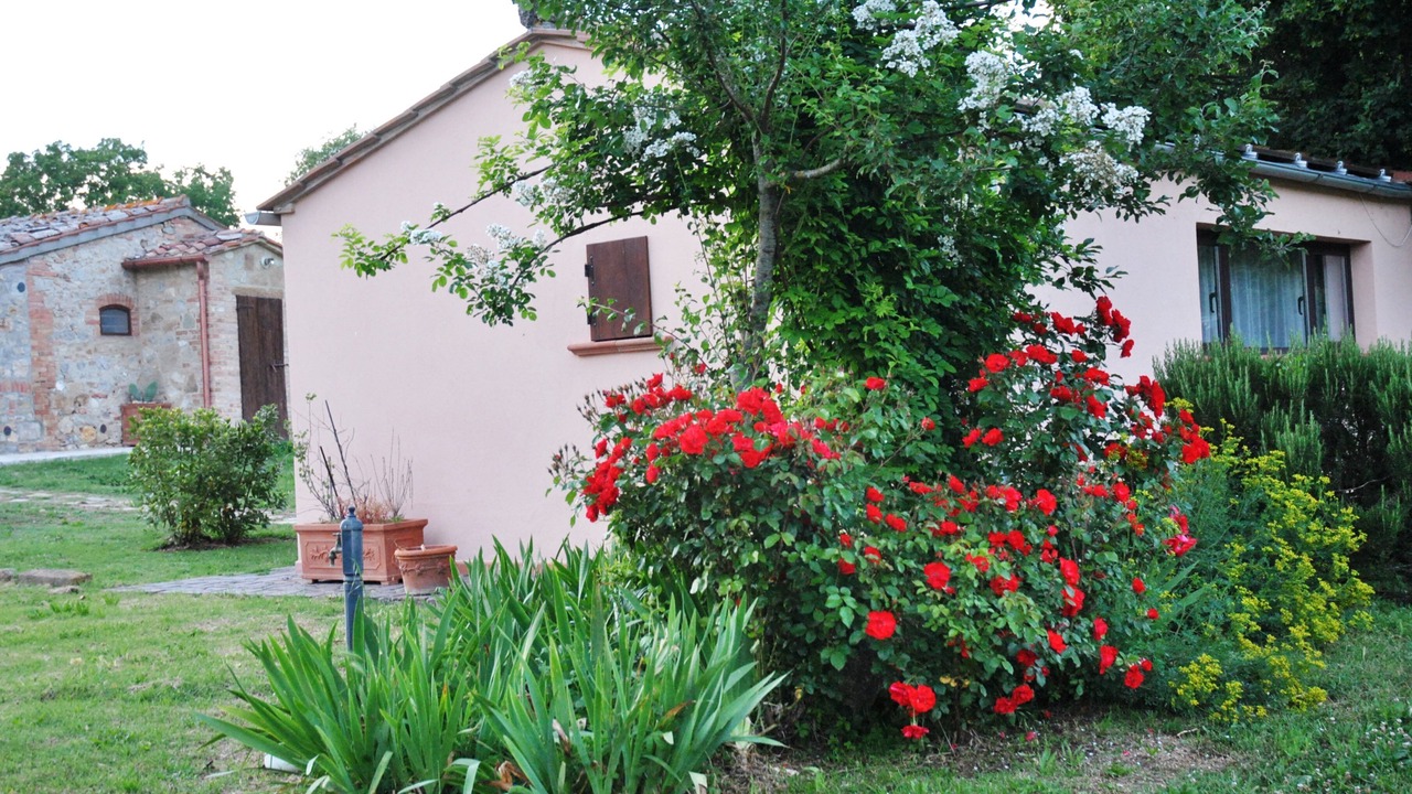 Photo of Outdoor in Montefollonico