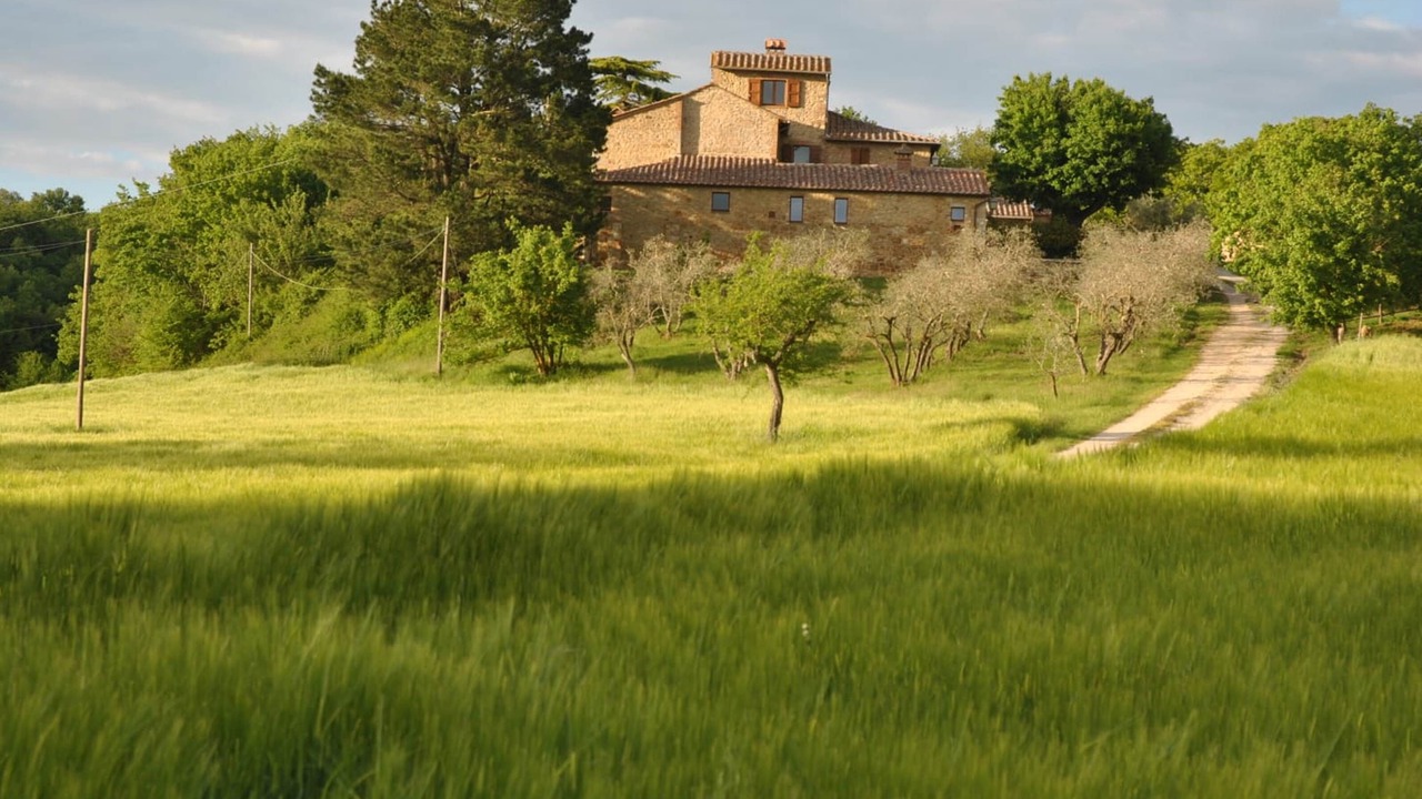 Photo of Outdoor in Montefollonico