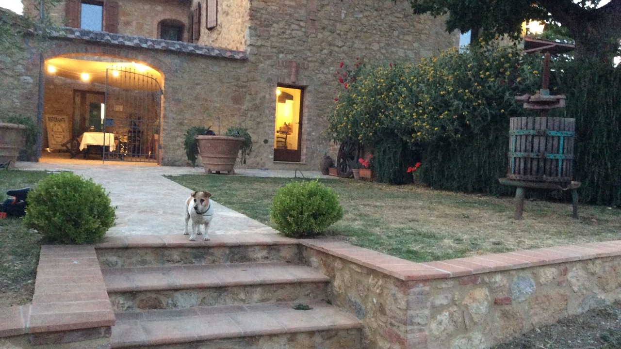 Photo of Others in Montefollonico