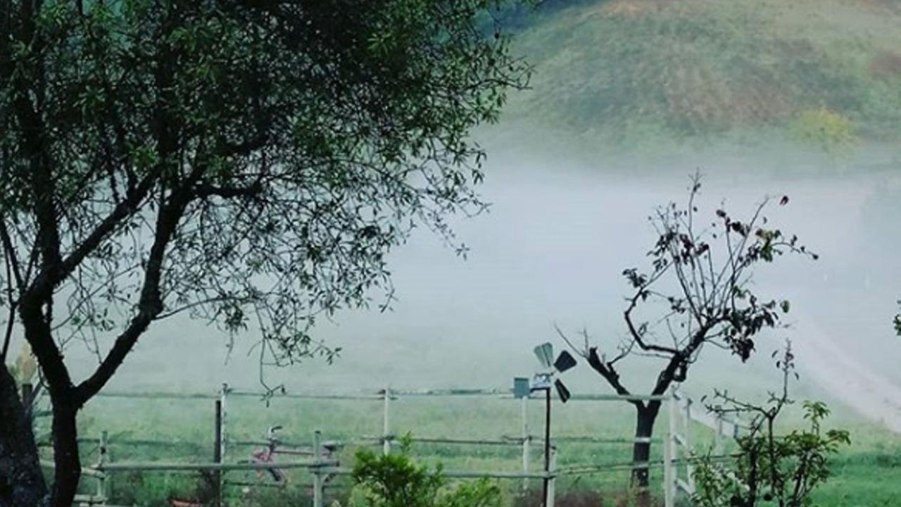 Photo of Outdoor in Montefollonico
