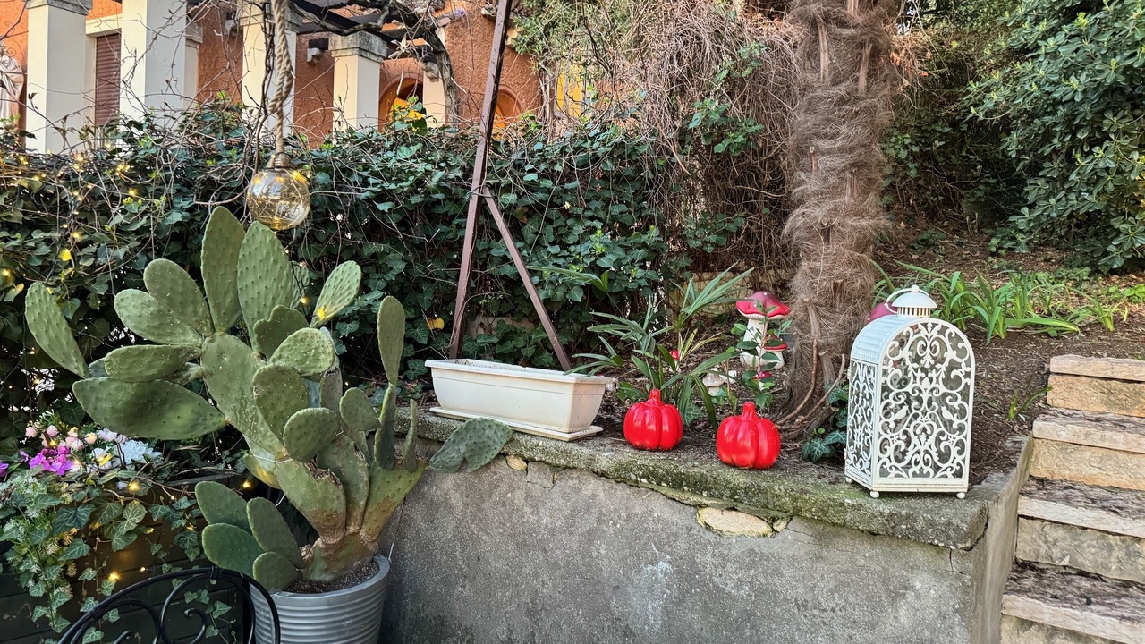 Photo of Outdoor in Borgo Trento