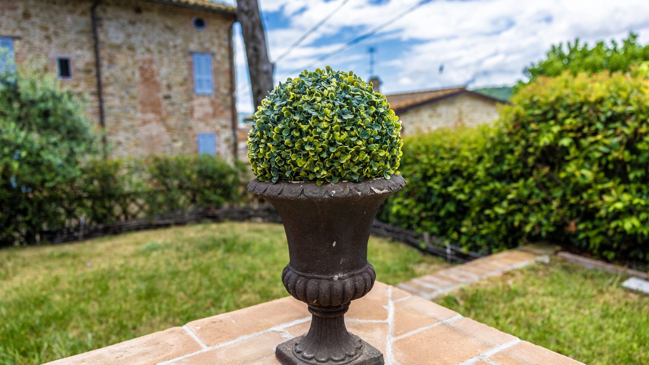 Photo of Outdoor in Castiglione della Valle