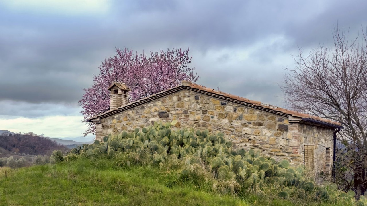 Photo of Outdoor in Radicondoli