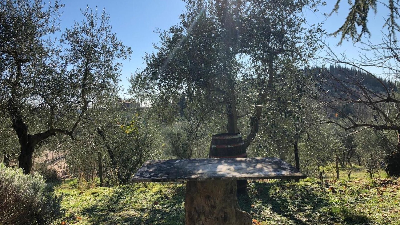 Photo of Outdoor in Lecchi in Chianti