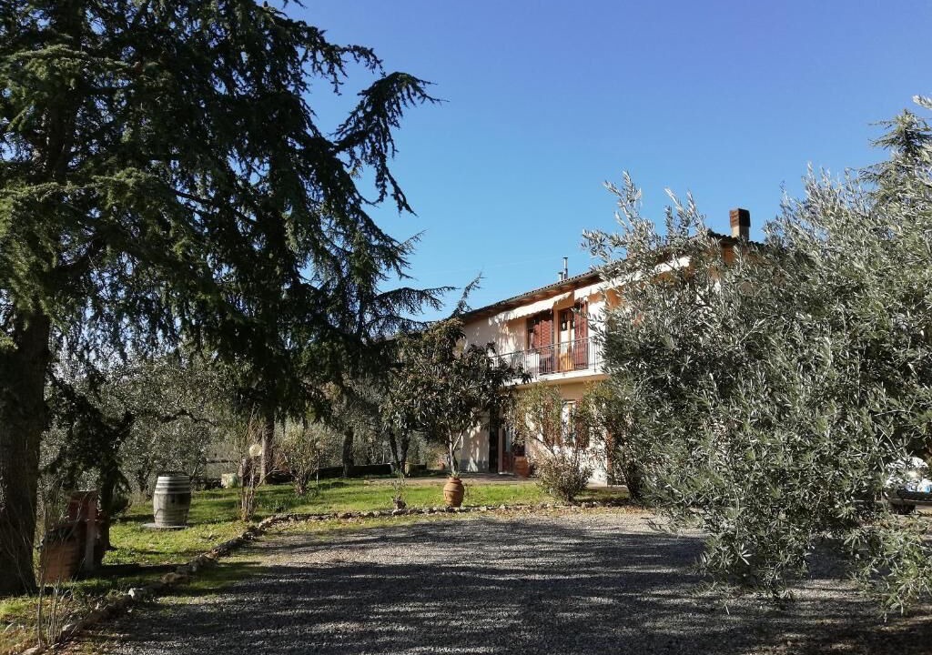Photo of Others in Lecchi in Chianti
