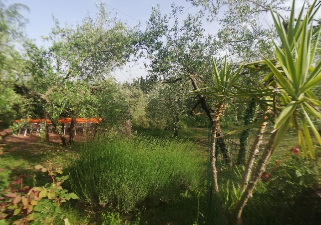 Photo of Outdoor in Lecchi in Chianti