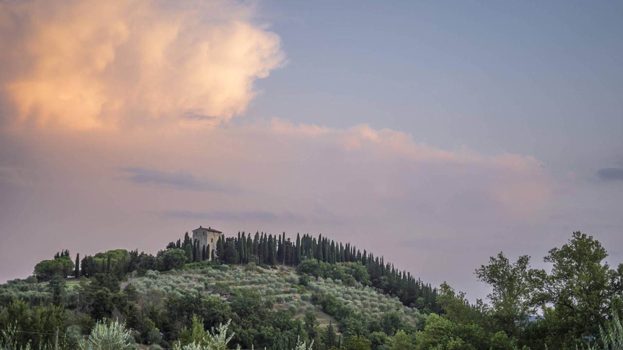 Photo of Outdoor in Lecchi in Chianti