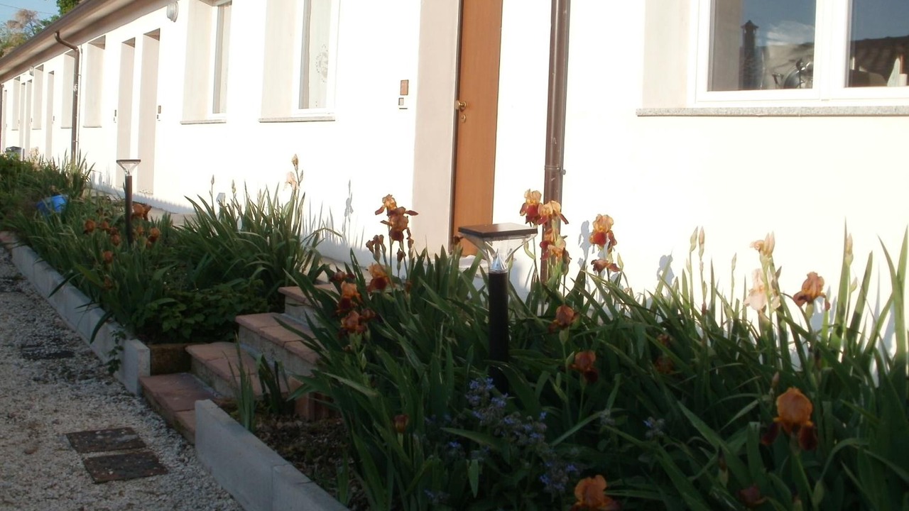 Photo of Outdoor in Pieve Salutare