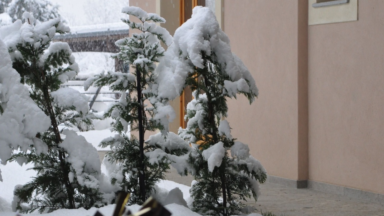 Photo of Outdoor in Pont Suaz