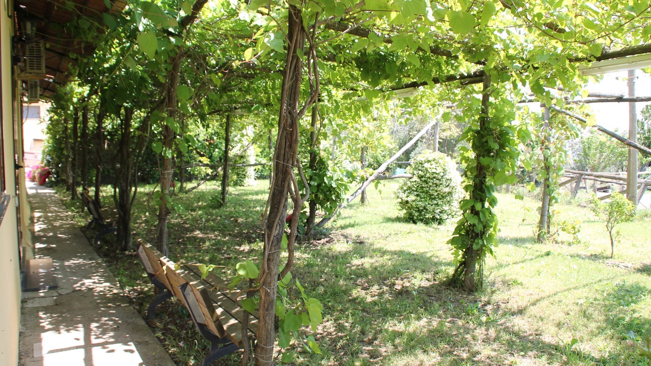 Photo of Outdoor in San Pietro