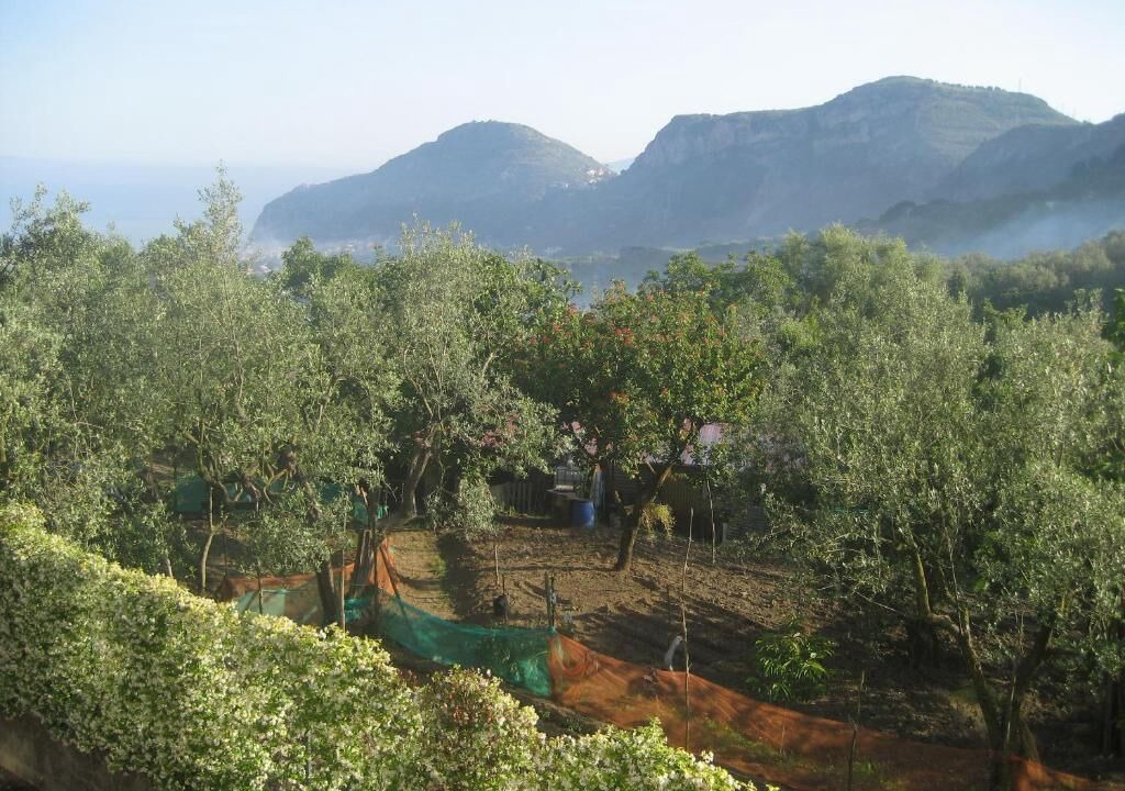 Photo of Outdoor in San Pietro