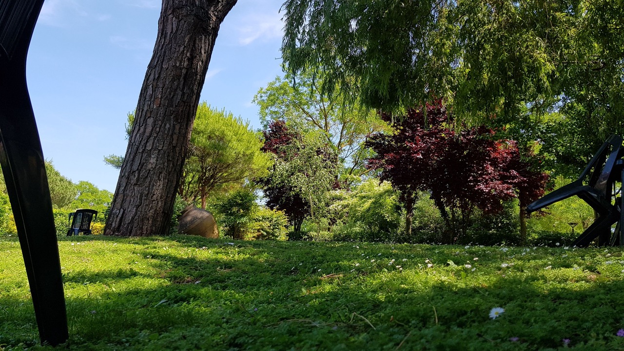 Photo of Outdoor in Classe