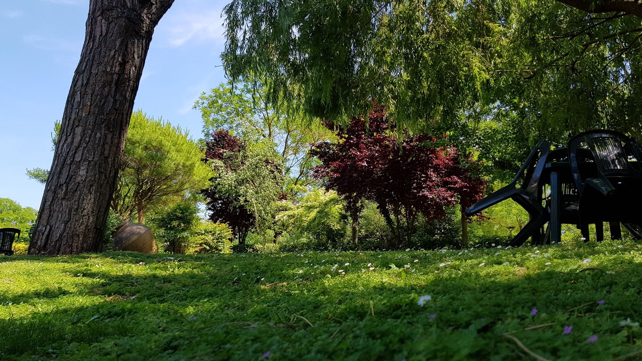 Photo of Outdoor in Classe