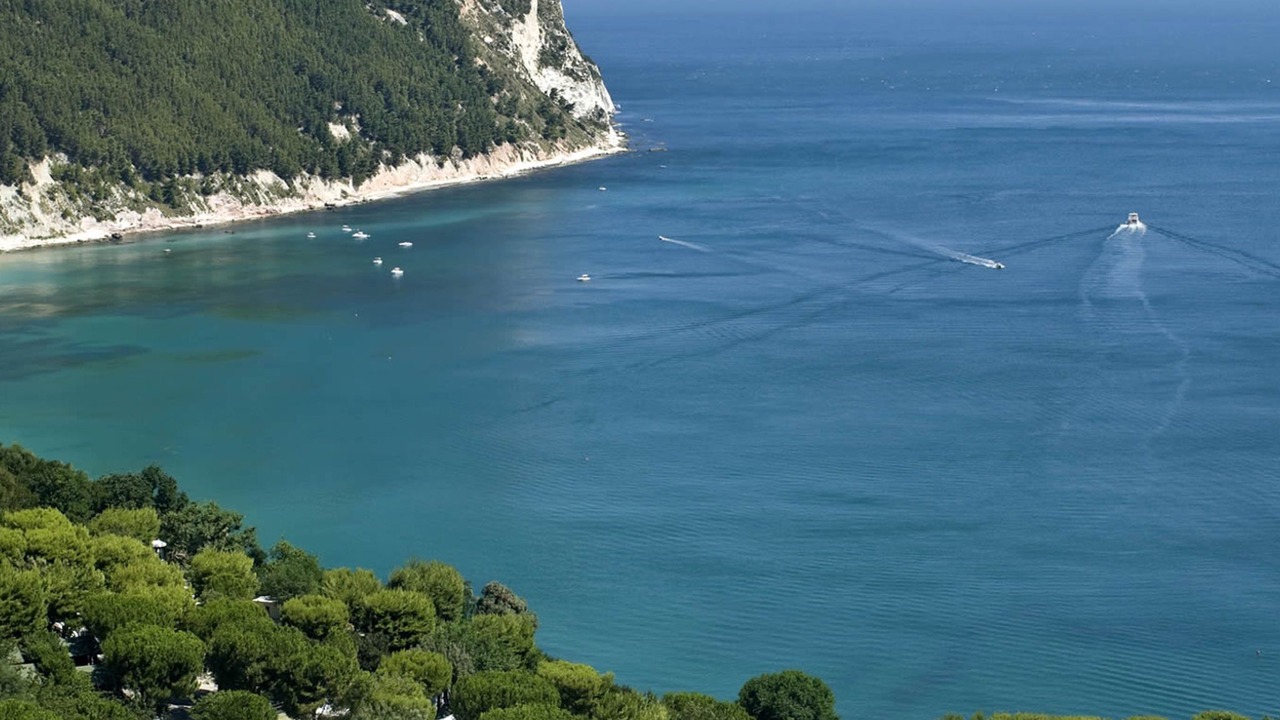 Photo of Others in Monterosso