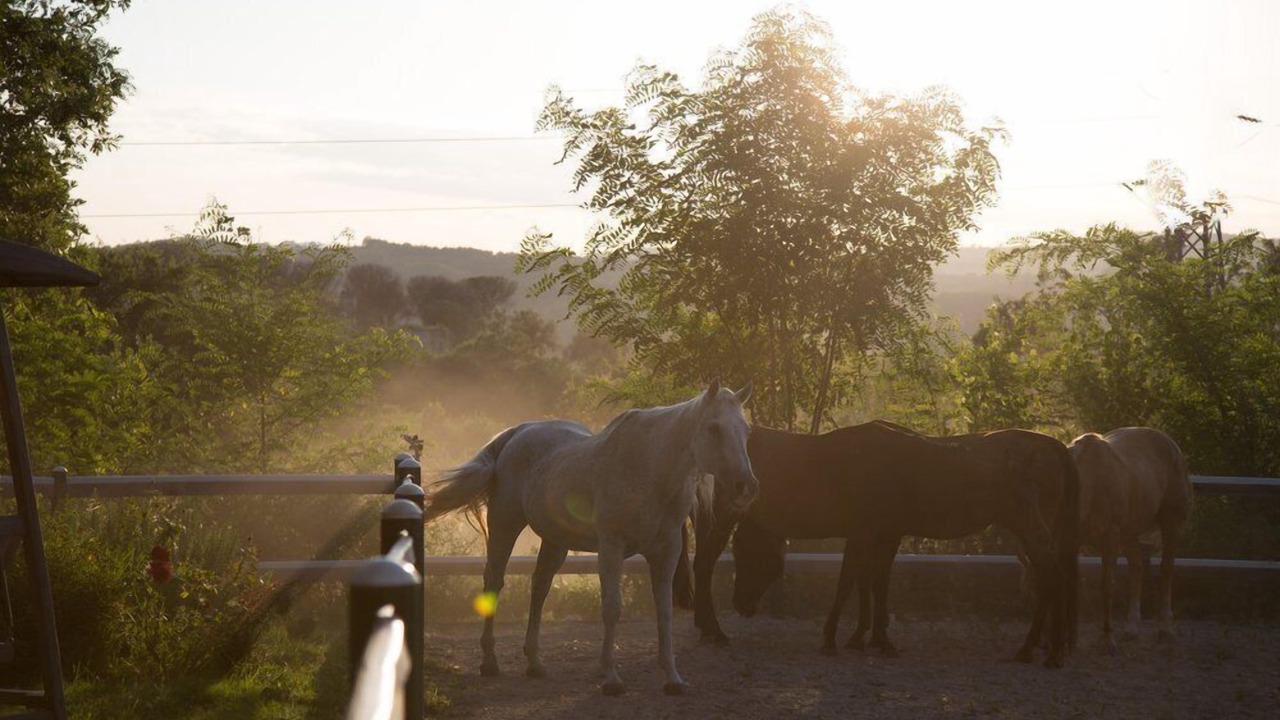 Photo of Outdoor in Melizzano