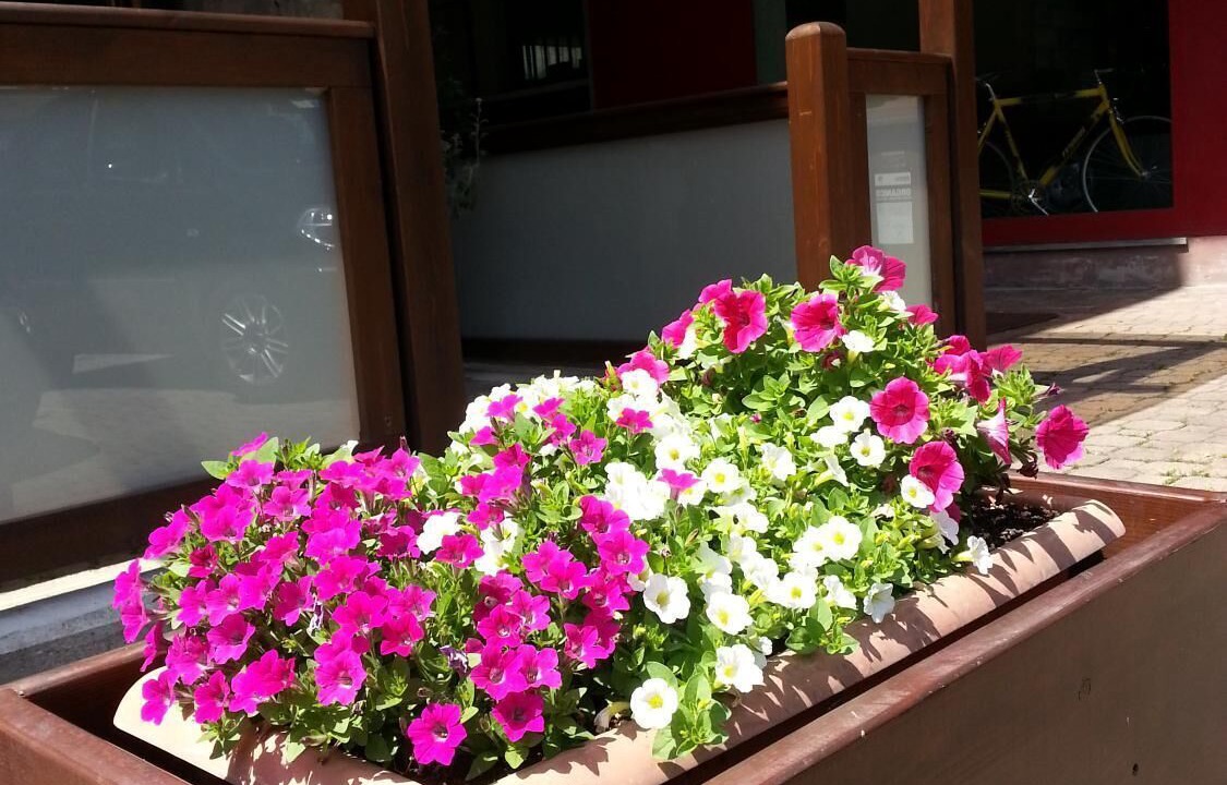 Photo of Outdoor in Pont-Saint-Martin