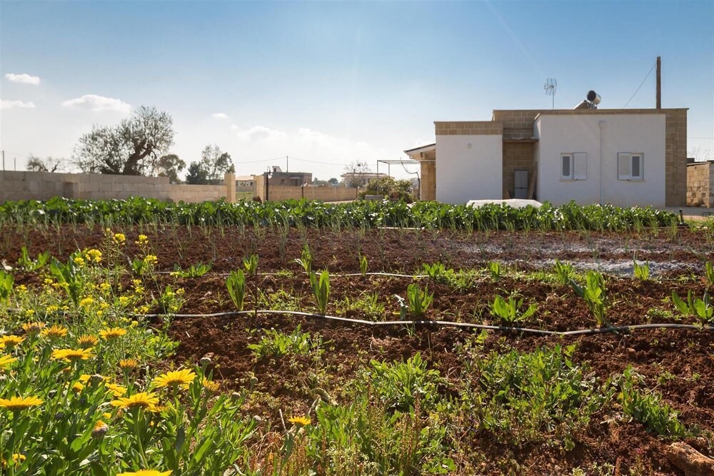 Photo of Outdoor in Montesano Salentino