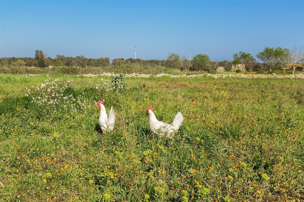 Photo of Outdoor in Montesano Salentino