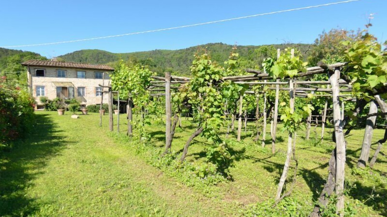 Photo of Outdoor in Vicopelago