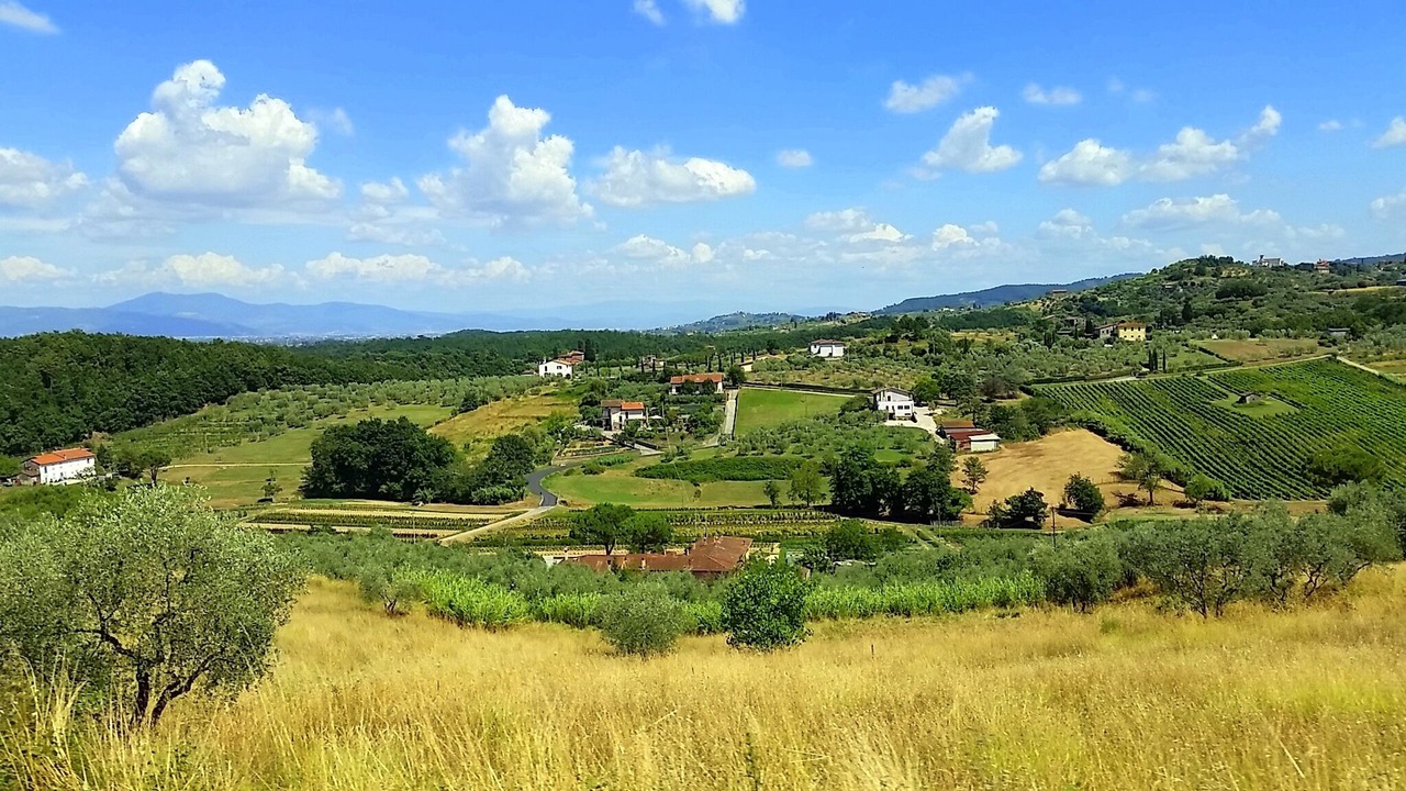 Photo of Outdoor in Poggio Alla Cavalla