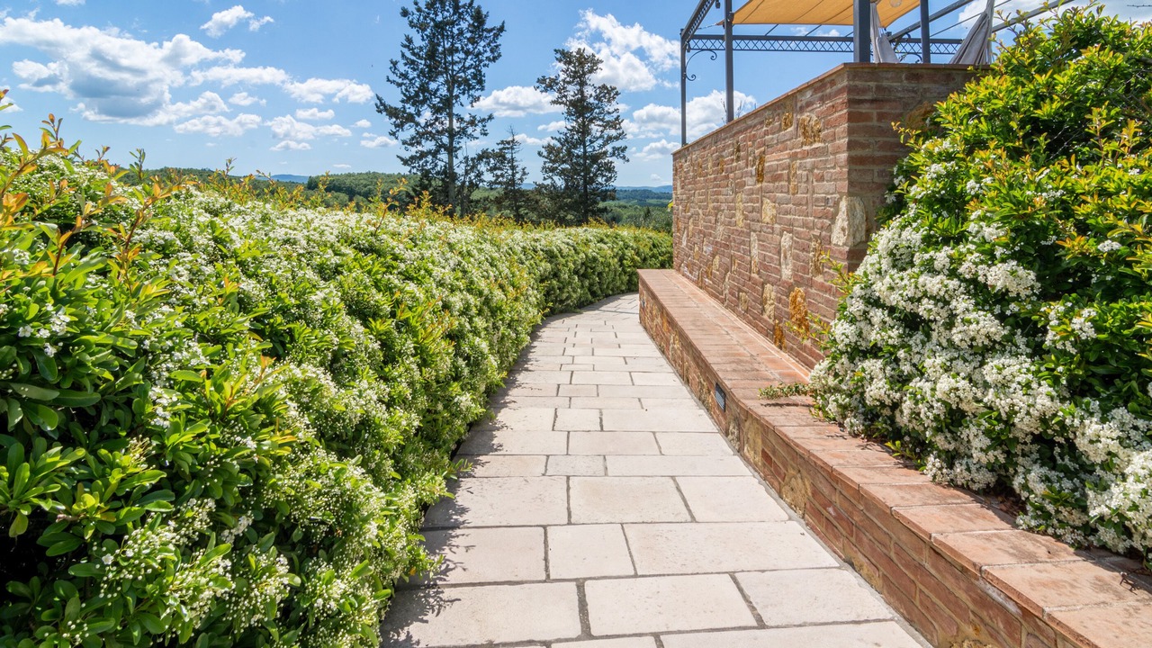 Photo of Outdoor in Peccioli