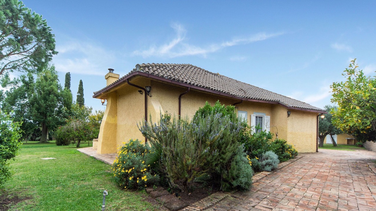 Photo of Outdoor in Ardea