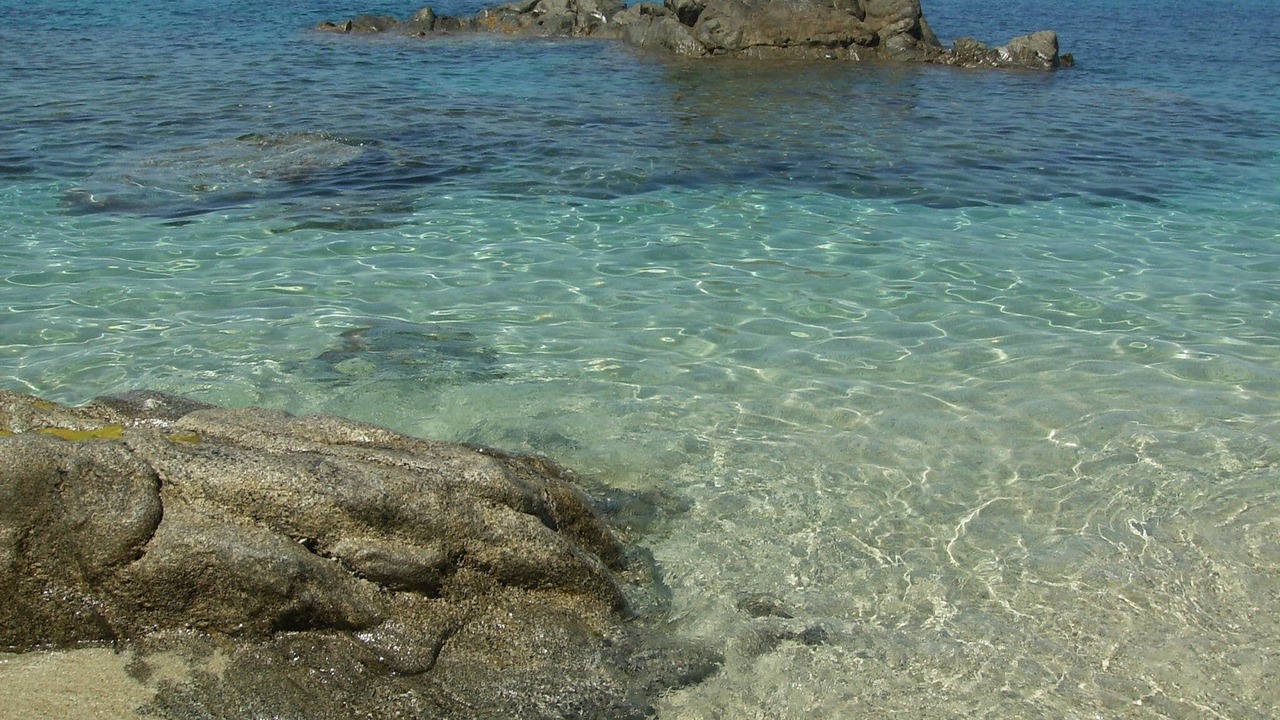 Photo of Others in Parghelia