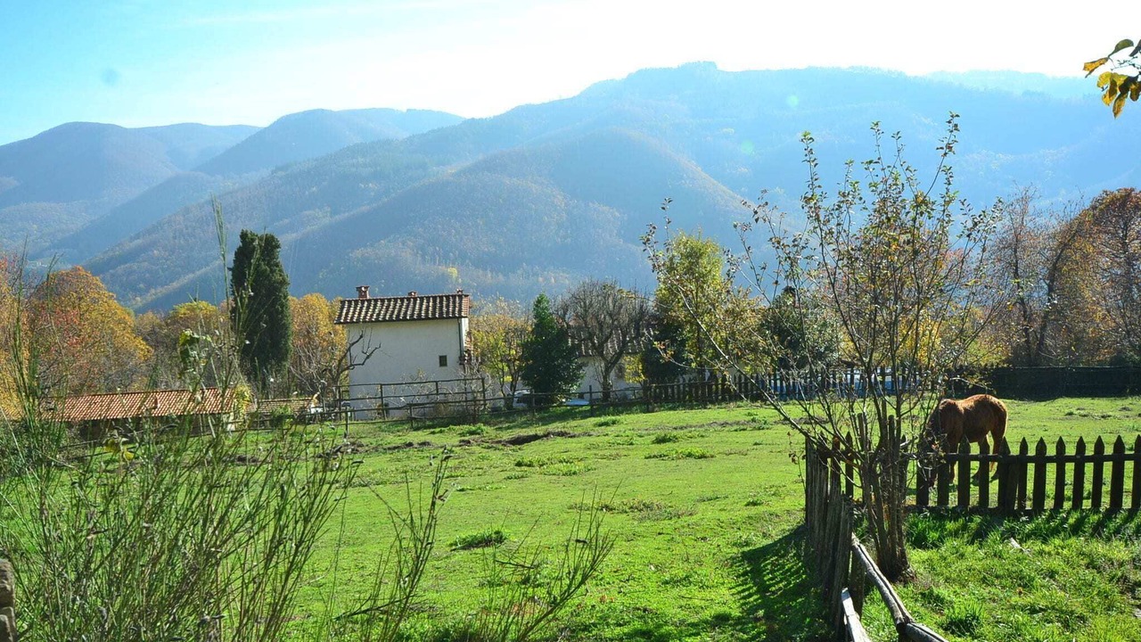 Photo of Outdoor in San Marcello Piteglio