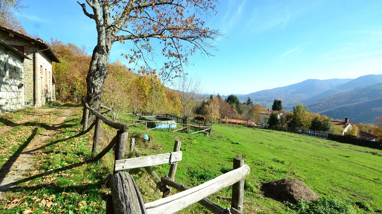 Photo of Outdoor in San Marcello Piteglio