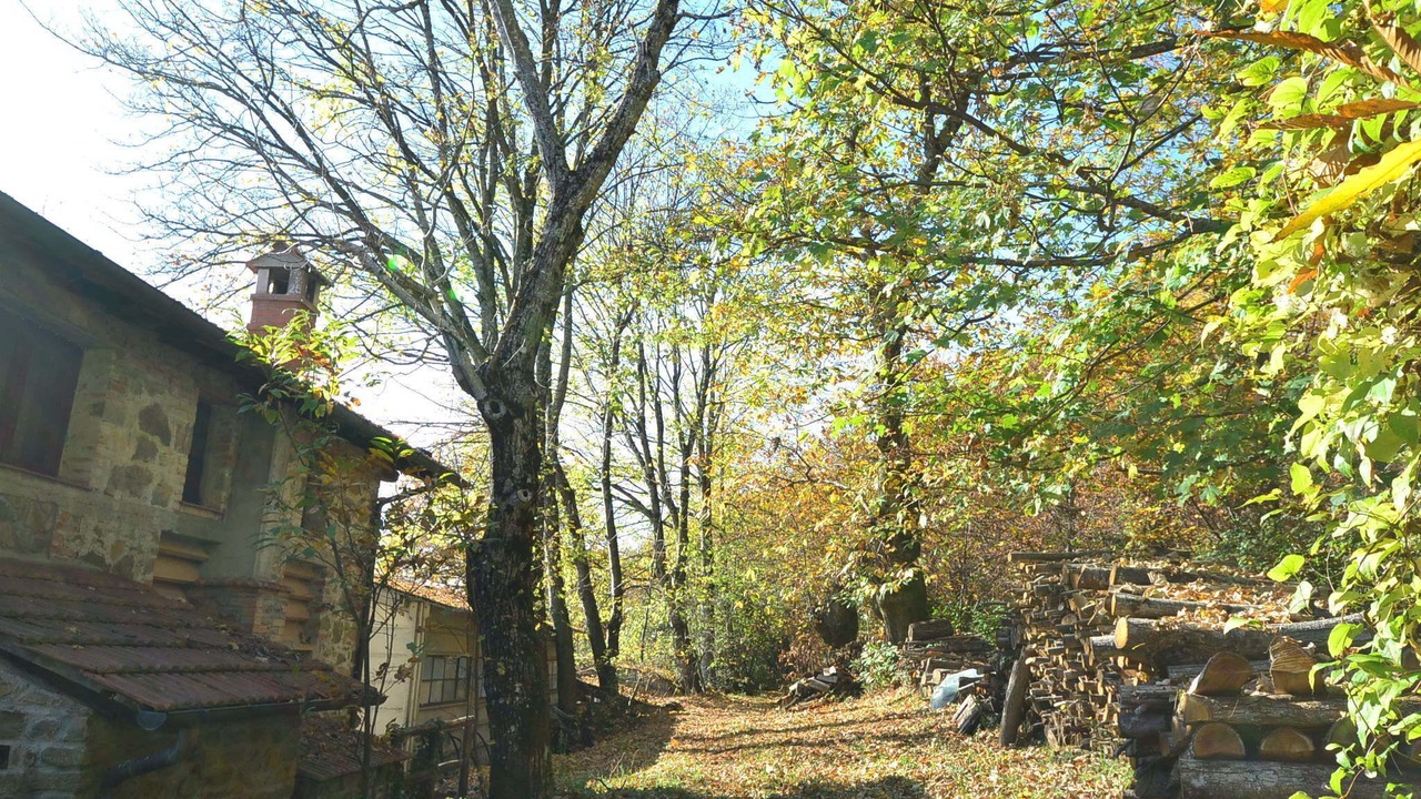 Photo of Others in San Marcello Piteglio