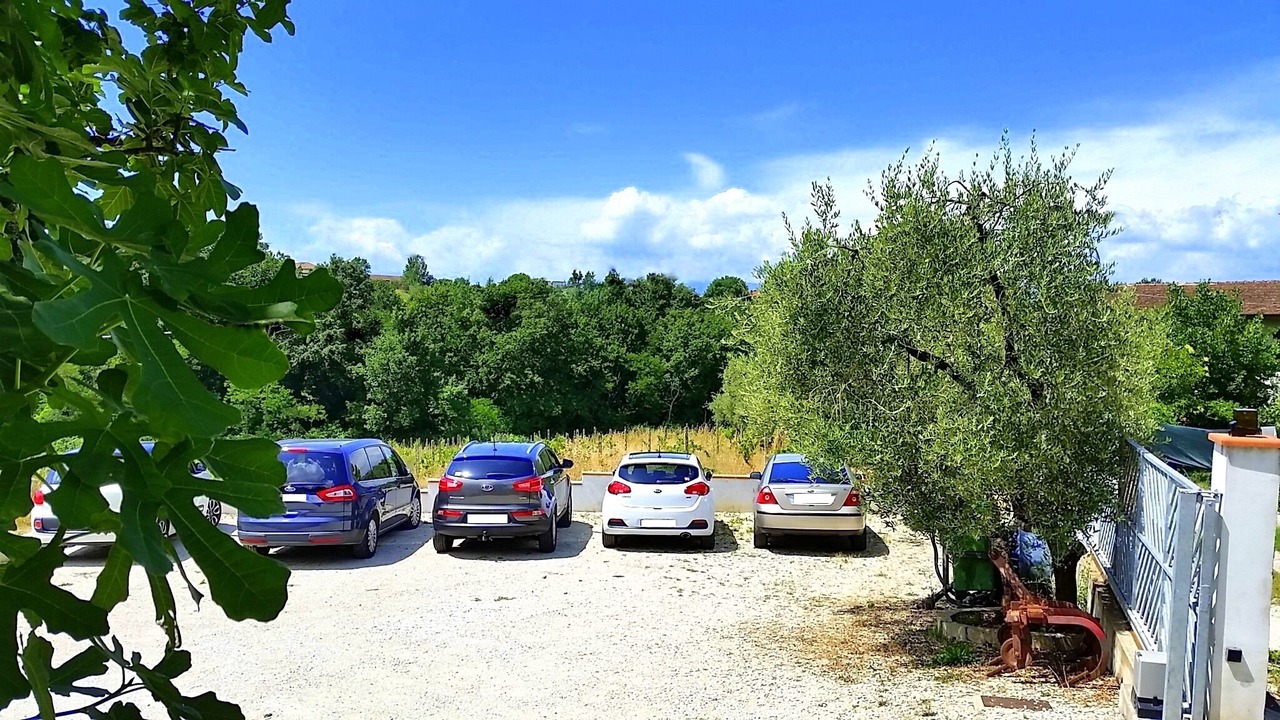 Photo of Outdoor in Poggio Alla Cavalla