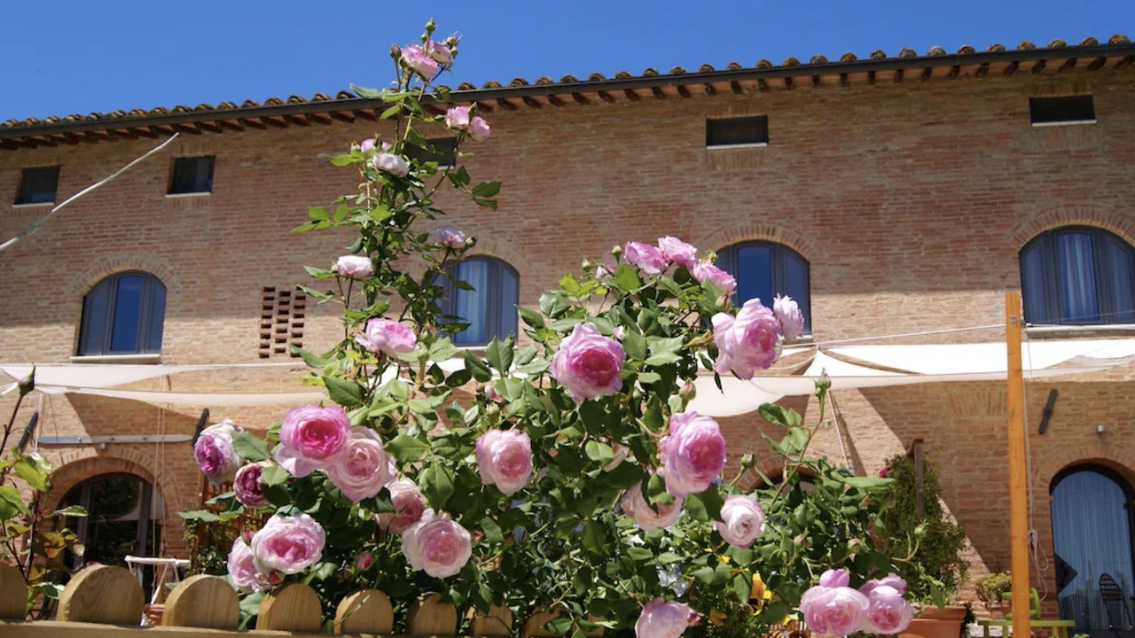 Photo of Outdoor in San Rocco a Pilli