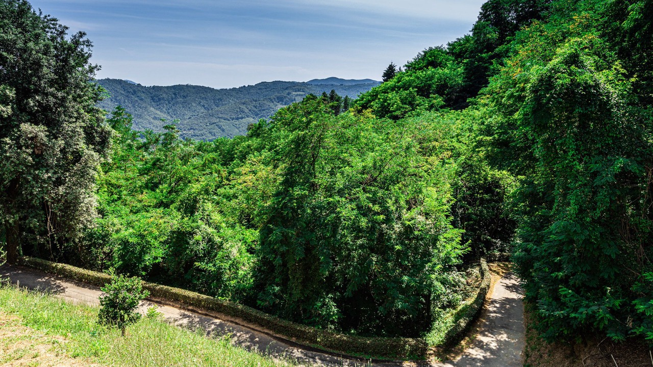 Photo of Outdoor in Pescaglia