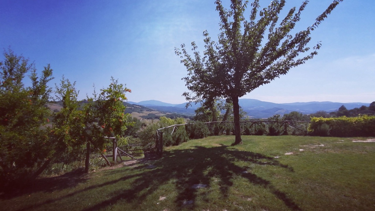 Photo of Outdoor in Radicondoli