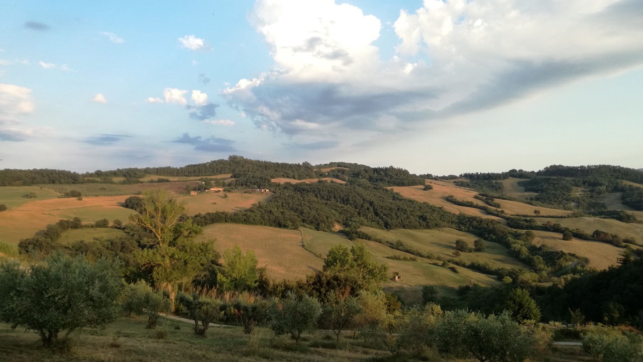 Photo of Others in Radicondoli