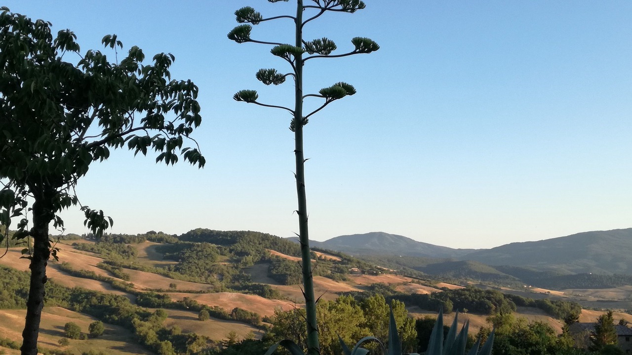 Photo of Others in Radicondoli