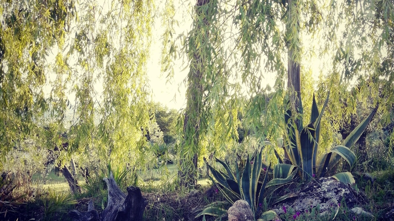 Photo of Outdoor in Radicondoli