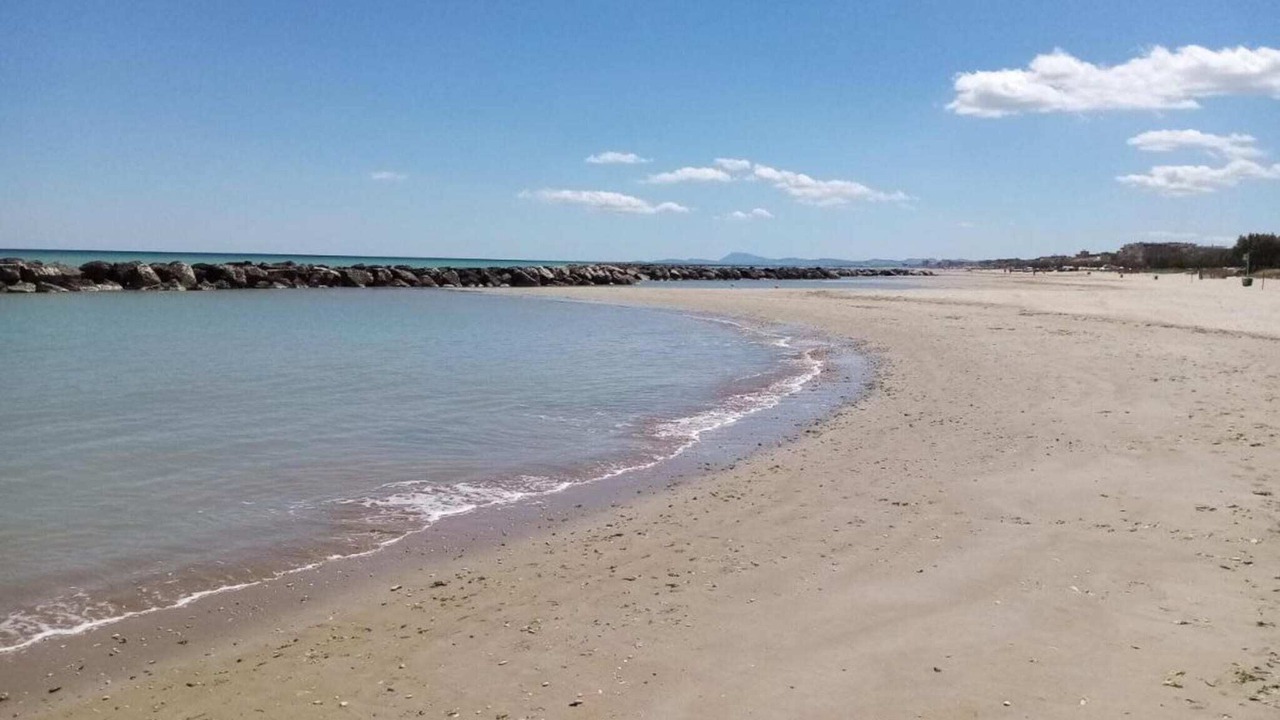 Photo of Others in Senigallia