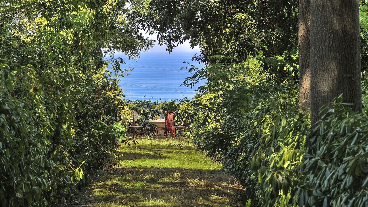 Photo of Outdoor in Senigallia