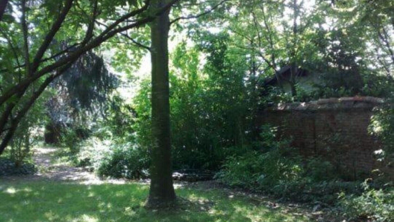 Photo of Outdoor in Travaco Siccomario